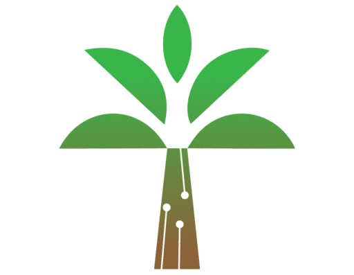 PalmTree Network